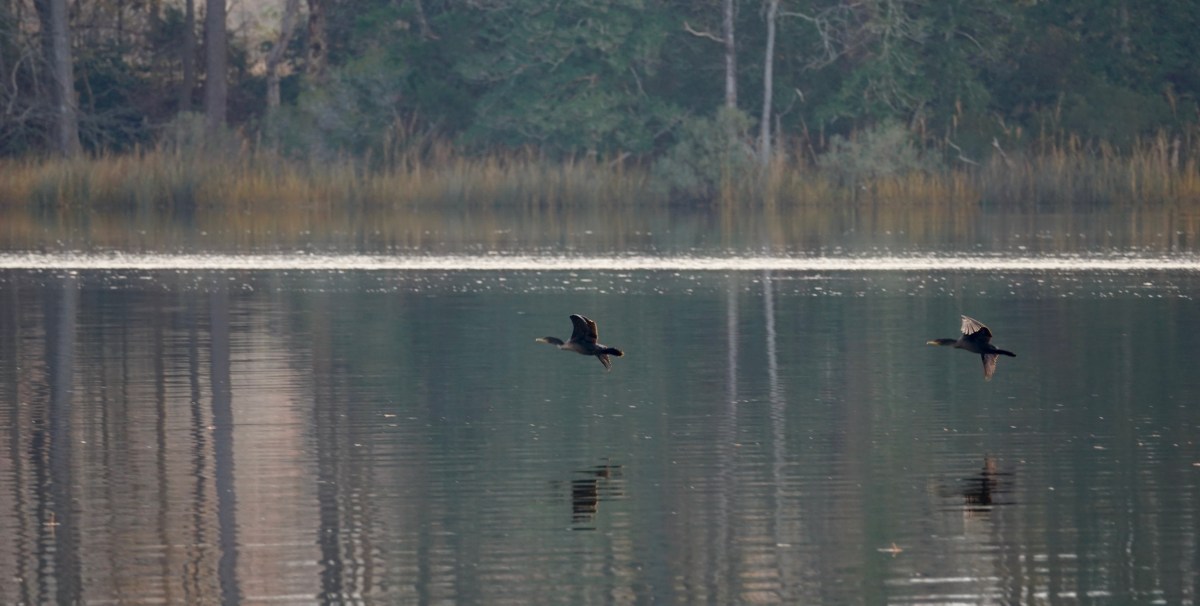 Telephoto trial on the Piankatank River WAY NORTH