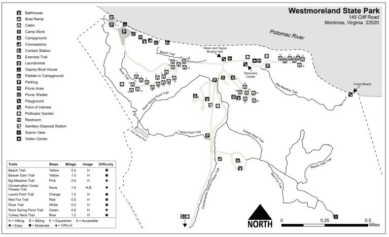 shark-teeth-fossil-hunting-in-virginia-westmoreland-state-park-way